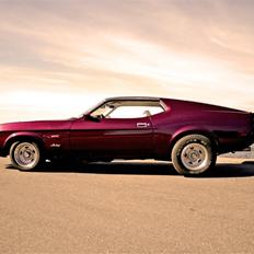 Ford Mustang "Nemesis"