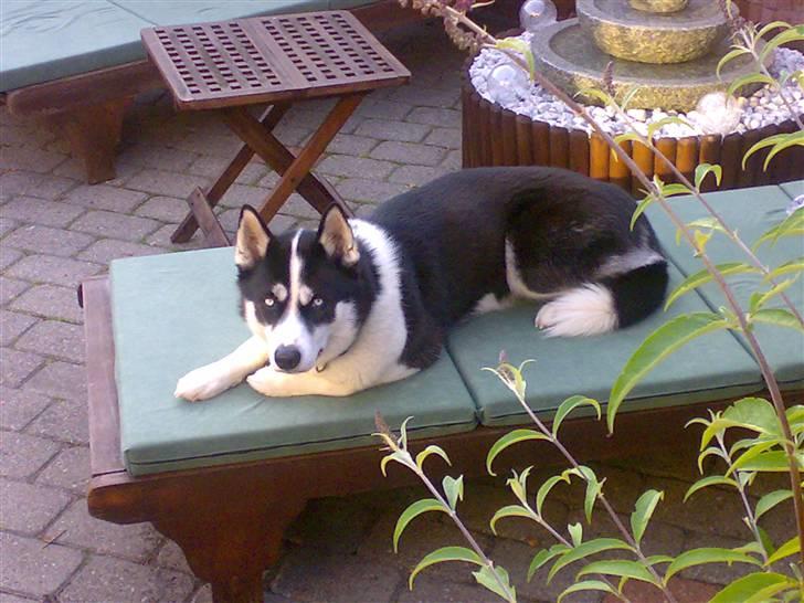 Toyota Carina E GTi *Red Devil* - Nu er hun 2 år. :o) billede 14