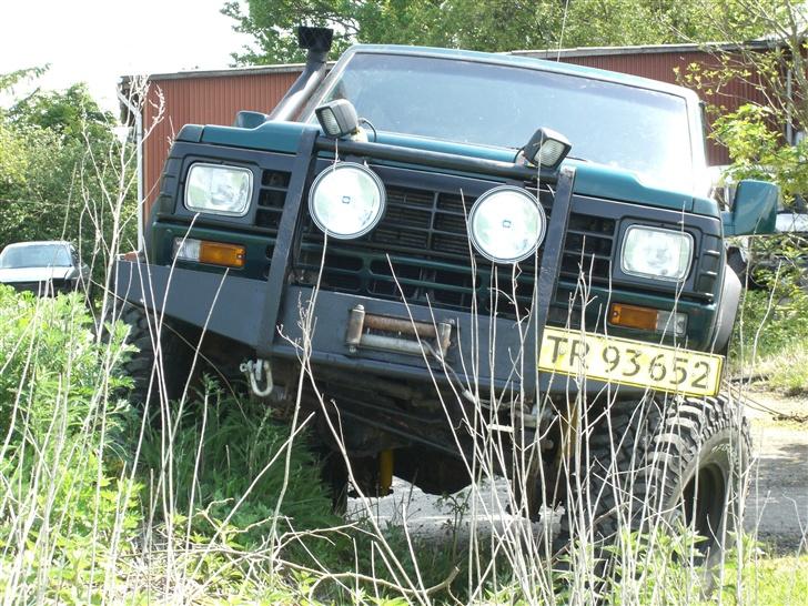 Nissan patrol  1985 solgt - ligger på lur efter intet anende små biler på savanen... billede 19