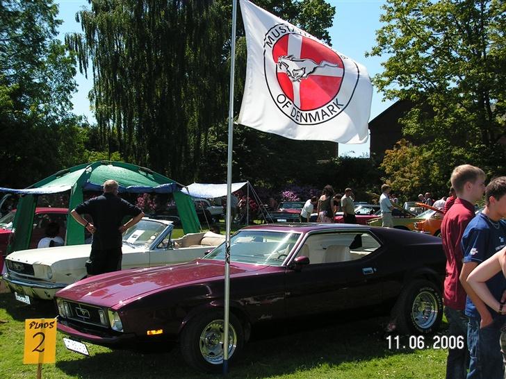 Ford Mustang "Nemesis" - Udstilling på Gisselfeld kloster 2006 billede 4