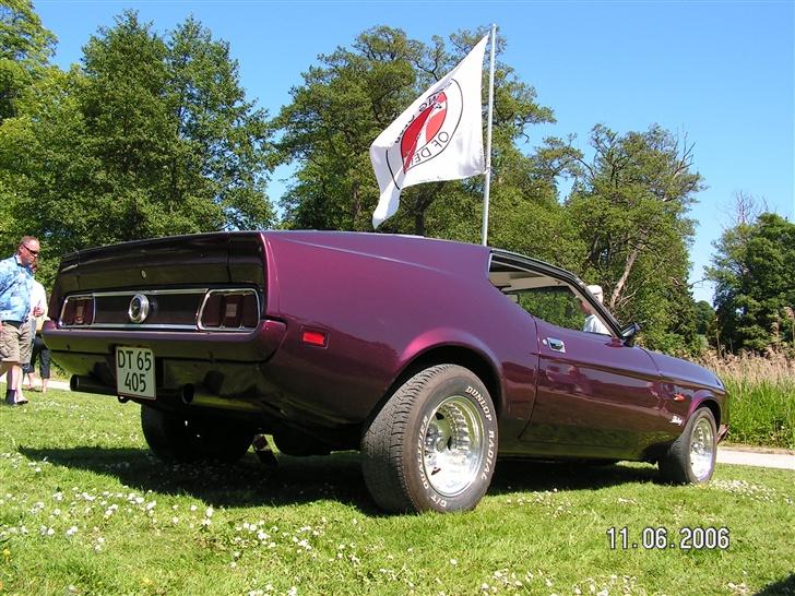 Ford Mustang "Nemesis" - Gisselfeld kloster 2006 billede 8