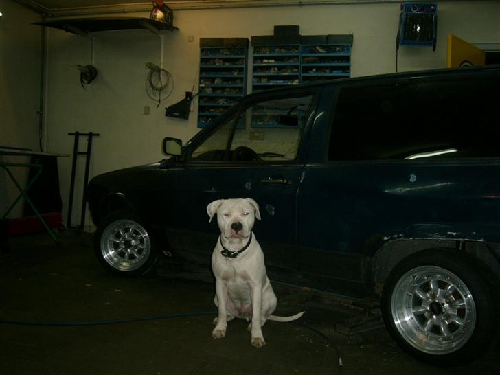 VW polo hit Stage 1/3 billede 16