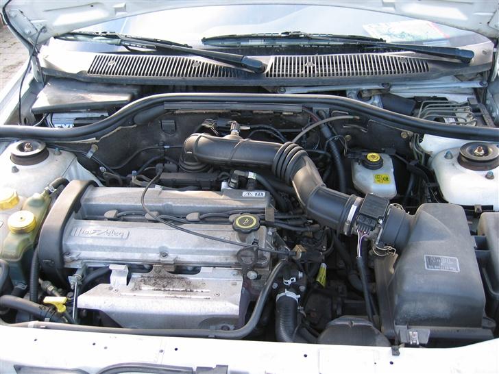 Ford Escort Monaco-SOLGT&DØD billede 6