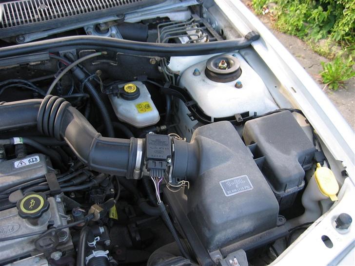 Ford Escort Monaco-SOLGT&DØD billede 8