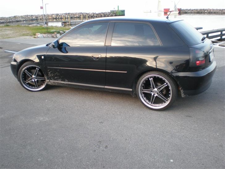 Audi A3 1.8 turbo *black widow billede 11