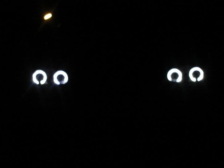 VW Golf IV - LED Angle Eyes billede 3