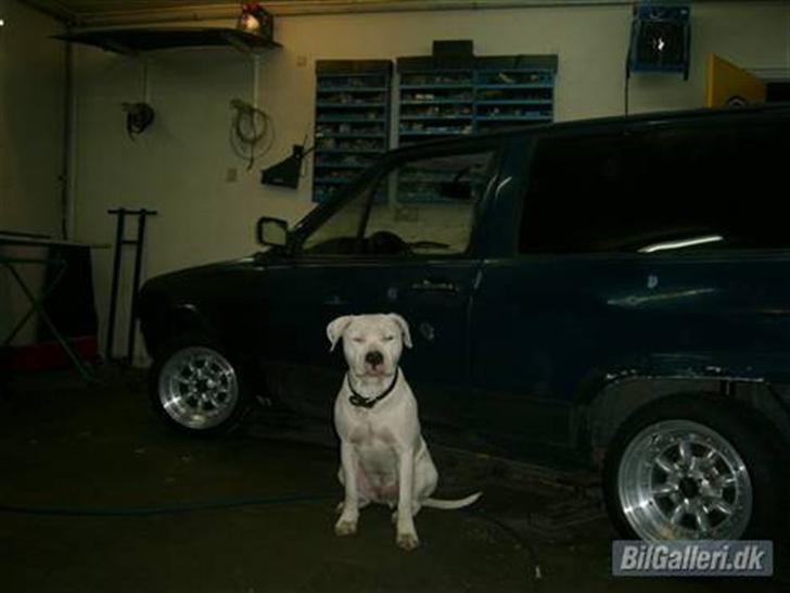 VW Golf 1 se fotoalbum - her er så min hund som passer på fars ting når far ikke er hjemme!!!! billede 11