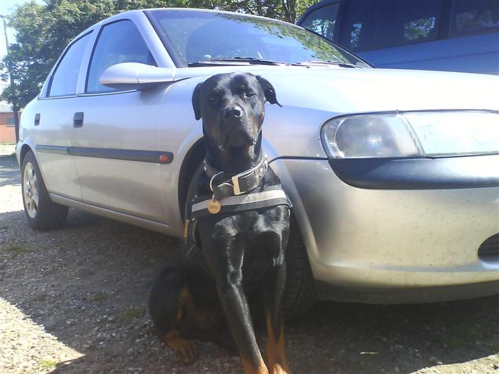 Opel Vectra B *SOLGT* - Mor´s bil alarm.. hehe billede 18