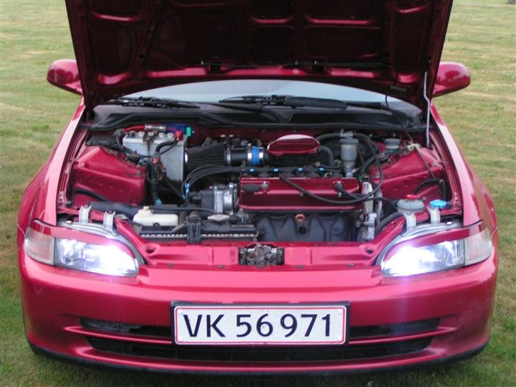 Honda civic (SOLGT) billede 1