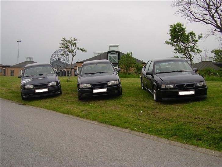 Opel Vectra A GT.. "2000"SOL.. - Banden... billede 11