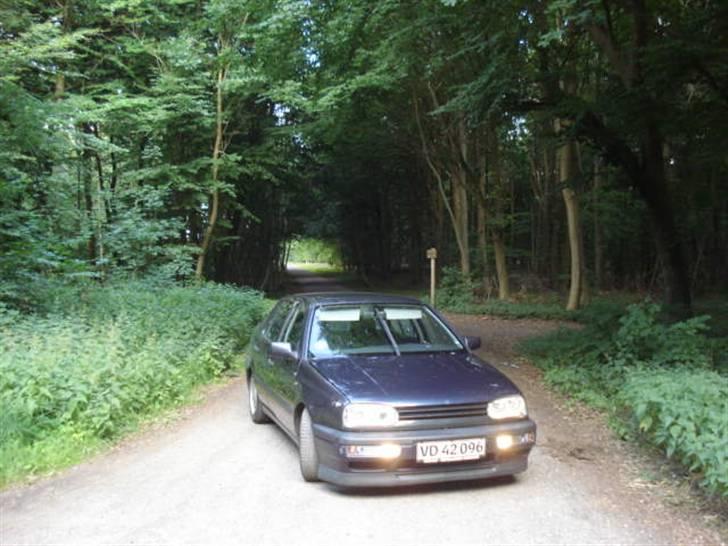 VW Vento !!SOLGT!! billede 1