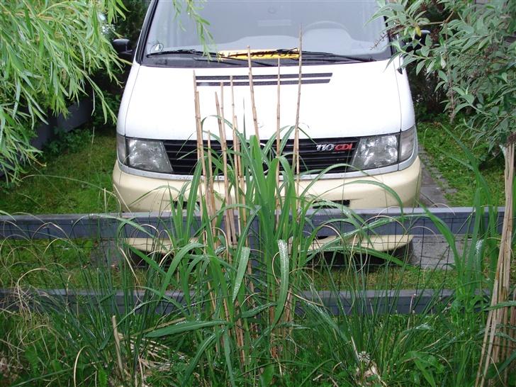 Mercedes Benz vito - har glemt at slå græsset. men så snart det er slået kommer der billeder hi hi billede 1