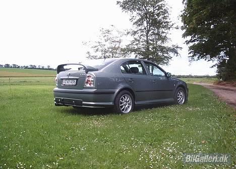 Skoda Octavia TDI solgt  - Octavia på græs i det sønderjyske billede 1