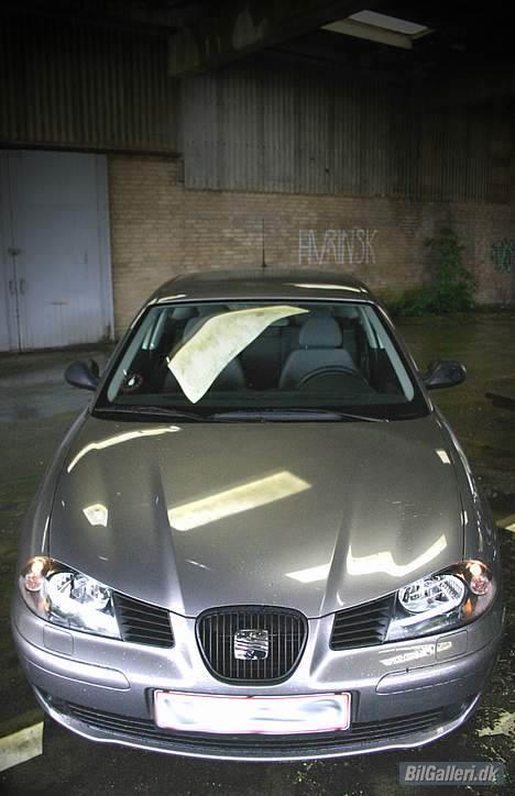 Seat Ibiza billede 1