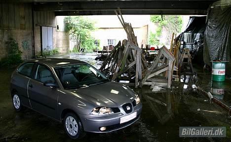 Seat Ibiza billede 4