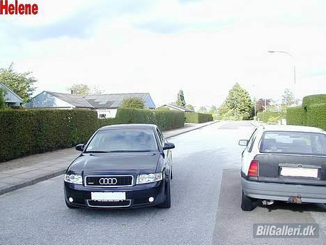 Audi A4 2.5 V6 TDI Quattro - Ikke vores Kadet... billede 4