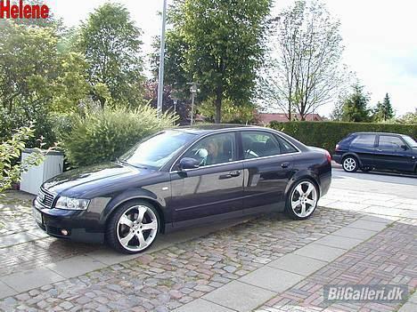 Audi A4 2.5 V6 TDI Quattro billede 3