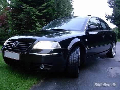 VW Passat 2,8 V6 4-Motion billede 2