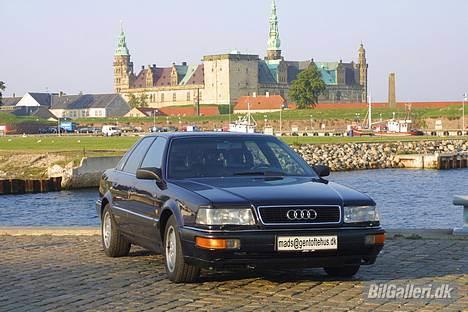 Audi V8 - V8 foran Kronborg billede 1