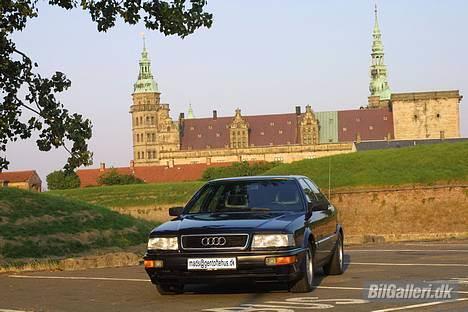 Audi V8 - V8 ved Kronborg billede 2