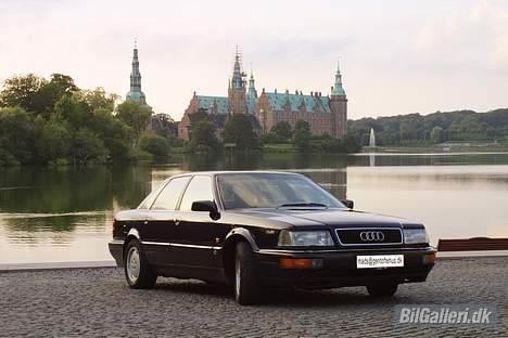 Audi V8 - V8 ved Frederiksborg Slot billede 4