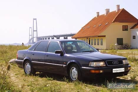 Audi V8 - V8 ved Storebæltsbroen billede 5