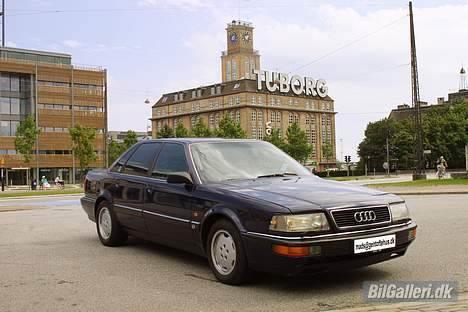 Audi V8 - V8 ved Tuborg, Hellerup, København billede 7