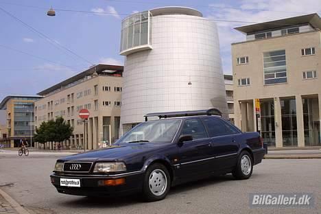 Audi V8 - V8 ved Rotunden, Hellerup, København billede 9