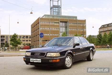 Audi V8 - V8 foran Tuborg, Hellerup, København billede 10