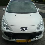 Peugeot 307 Airvan