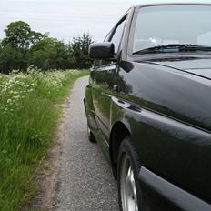 VW Golf 2 G60 Rallye (SOLGT)