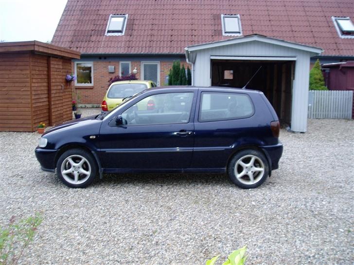 VW Polo 6N billede 2