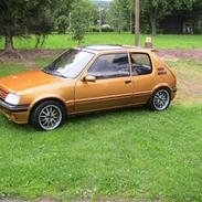 Peugeot 205 1,9 gti 