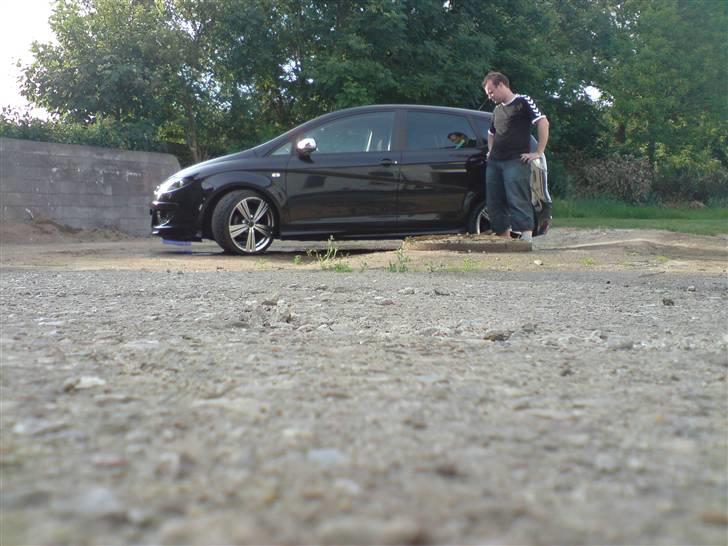 Seat Altea billede 1