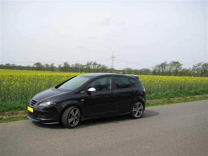 Seat Altea billede 8