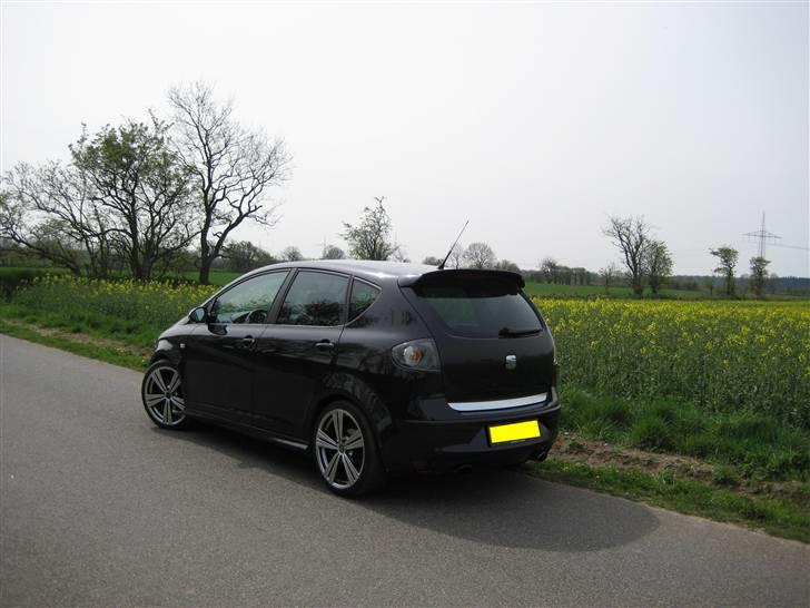 Seat Altea billede 9