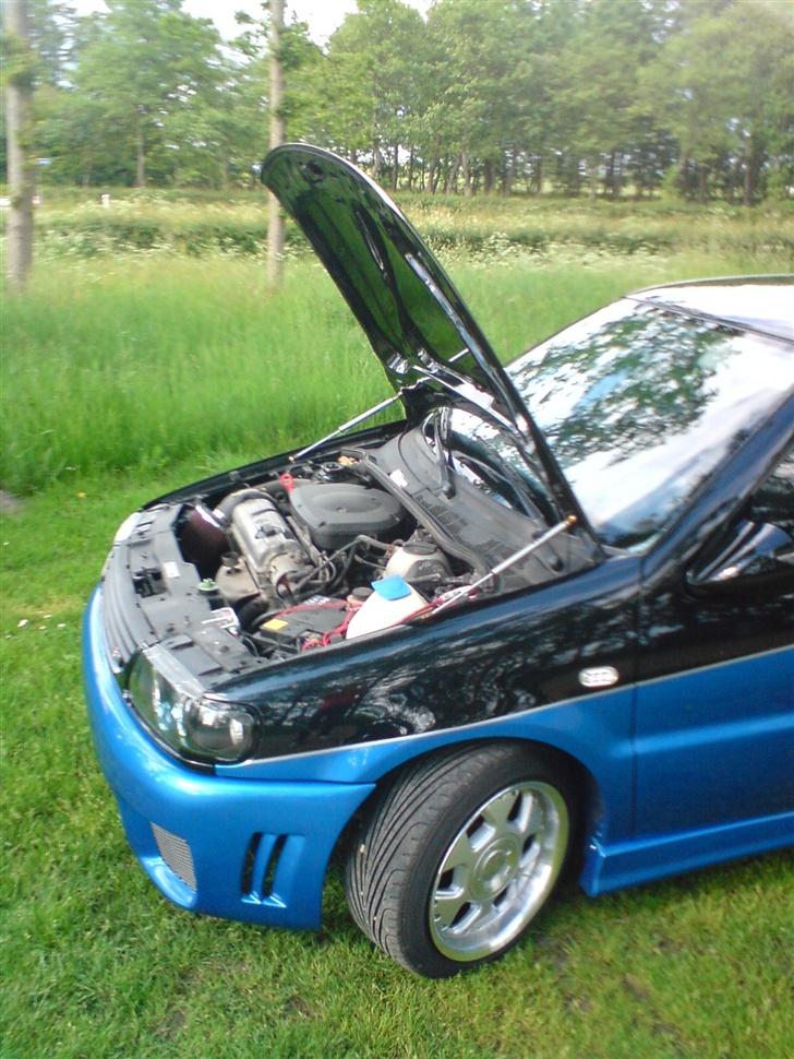 VW Polo 6N ***SOLGT*** - Gas cylinder til motorhjelmen er nu dejlig og det ser også godt ud jo. billede 10