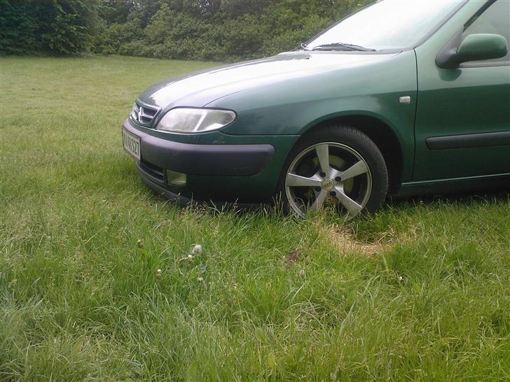 Citroën Xsara VTS / Til Salg / billede 7