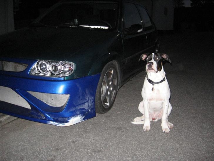 Citroën saxo vtr byttet væk - min bil sammen med min hund billede 20