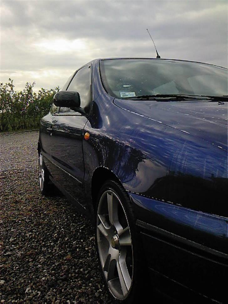 Fiat Bravo - Mobil Billed billede 14