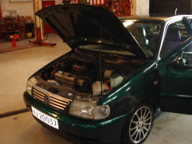 VW Polo 6n "solgt" billede 2