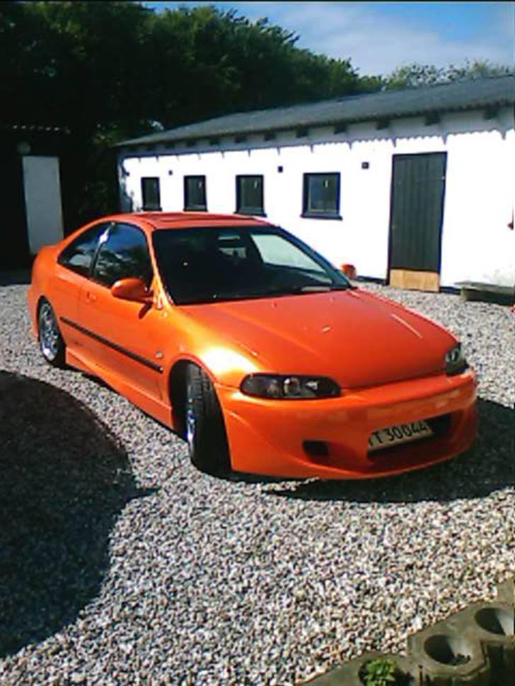 Honda Civic Coupe *Solgt* billede 6