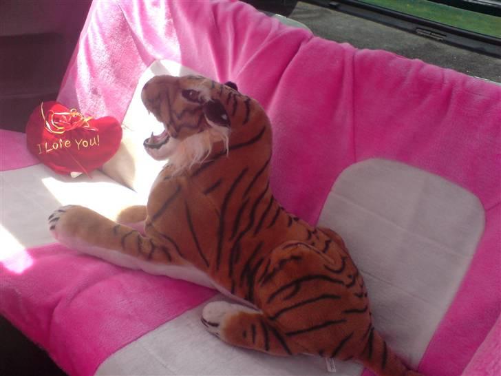 VW Scirocco  billede 4