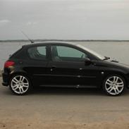 Peugeot 206 Griffe