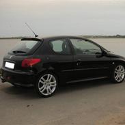Peugeot 206 Griffe
