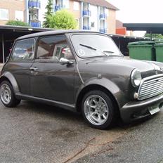 Mini mascot 1000 ( SOLGT)