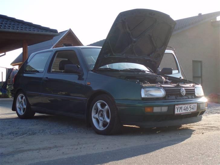 VW Golf III SOLGT - Sænket 50/40 billede 15