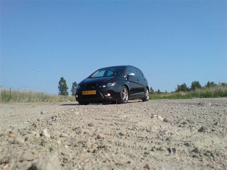 Seat Altea FR billede 8