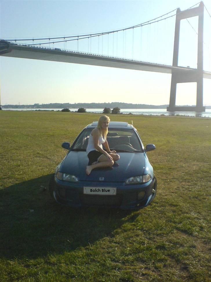 Honda Civic 1,5  *Bolch Blue* - Mig og tøsen med udsigt over lillebælt billede 9