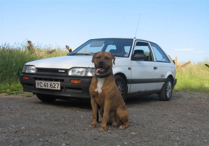 Mazda 323 BF *Skrottet* - *nyt foto 12 juni 2007* Her ses vores alarm billede 11